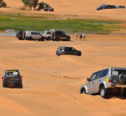 Oasis Tunisien
