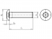 VIS ANTIVOL M8X30 INOX TETE BOMBE TORX