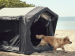 NICHE GONFLABLE POUR CHIENS DOMETIC K9 80 AIR