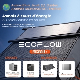 EcoFlow