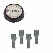 KIT VISSERIE 14X1.50 CHROME ET CACHE MOYEU (POUR UNE JANTE)