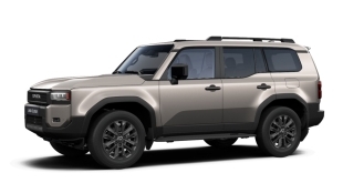 TOYOTA LAND CRUISER GDJ250 2.8D-4D 204CH BVA8 LEGENDE 2 PLACES UTILITAIRE GRIS SEPIA OCCASION