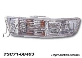 CLIGNOTANT AVANT GAUCHE 