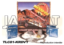 KIT de REFECTION de DIFFERENTIEL 