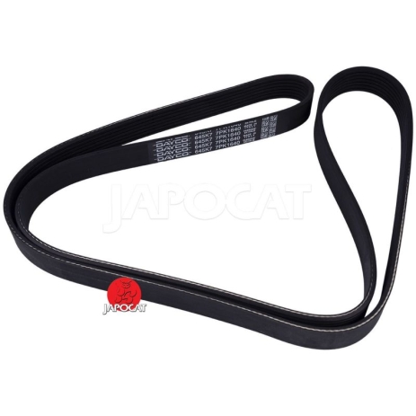 COURROIE Poly-V 1640mm