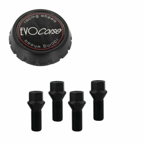 KIT VISSERIE 14X1.50 NOIR ET CACHE MOYEU (POUR UNE JANTE)