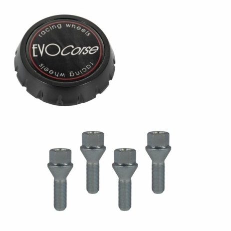 KIT VISSERIE 14X1.50 CHROME ET CACHE MOYEU noir (POUR UNE JANTE)