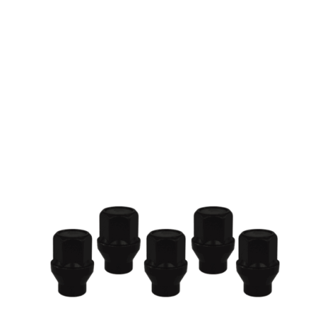 KIT VISSERIE 14X1.50 NOIR (POUR UNE JANTE)