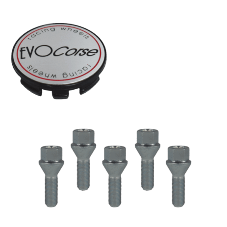 Kit visserie EVO Corse M14x1,50 zinguée et cache moyeu avec écusson brossé (pour une jante)