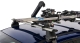 572-2-pair-ski-carrier-05.jpg